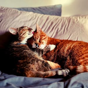 居心地の良い - Hotel Jazz Music