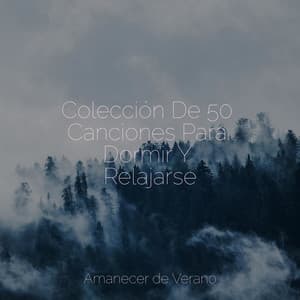 Colección De 50 Canciones Para Dormir Y Relajarse - Sons da Natureza