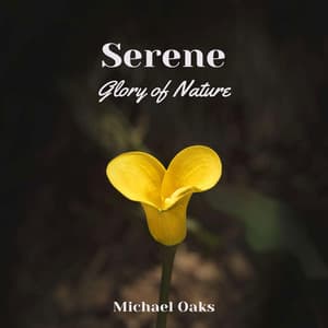 Serene - Michael Oaks