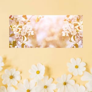 Calm Jazz Violin - Background for Smooth Chilled Days - Tranquilo Café Música