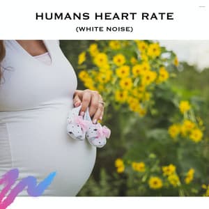 Humans Heart Rate - Loopable Radiance
