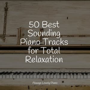 50 Best Sounding Piano Tracks for Total Relaxation - Study Piano