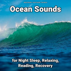 Ocean Sounds for Night Sleep, Relaxing, Reading, Recovery - Nature Sounds