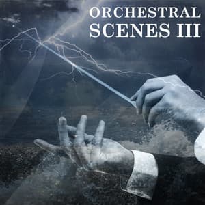 Orchestral Scenes, Vol. 3: Action - Moritz Bintig