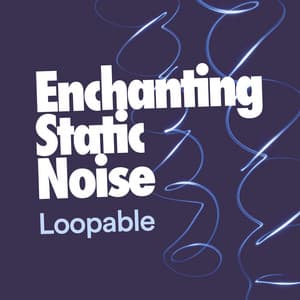 Enchanting Static Noise - Loopable