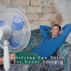 Satisfying Fan Noise for Great Sleep - Sleep Therapist
