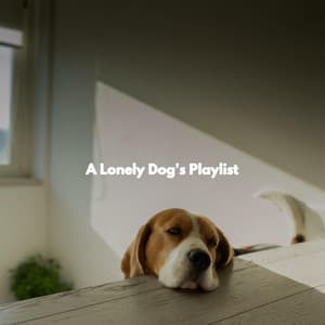 A Lonely Dog's Playlist - Family Dinner