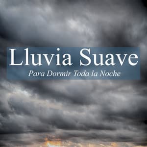 Lluvia Suave Para Dormir Toda la Noche - Sonidos Relajantes de la Naturaleza by Beneluxa