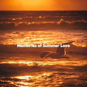 Memories of Summer Love - Working from Home Music