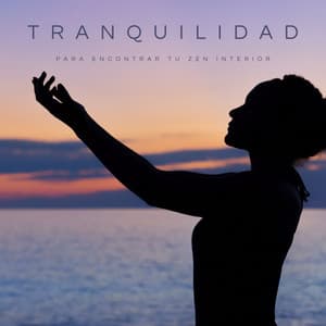 Tranquilidad Para Encontrar Tu Zen Interior - Estudiando Música