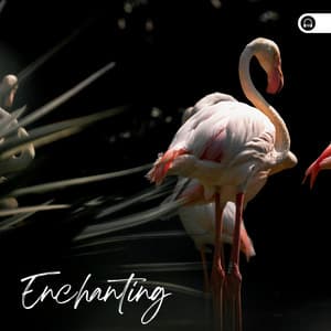 Enchanting - Nature Sound Collection