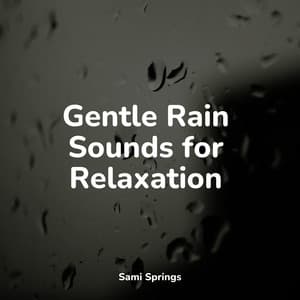 Gentle Rain Sounds for Relaxation - Relaxing Nature Ambience