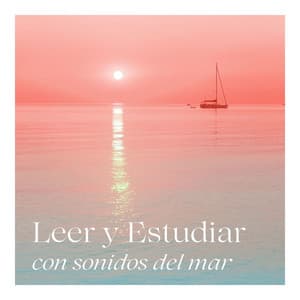 Leer y Estudiar Con Sonidos del Mar: Disfruta de un Estudio Tranquilo con el Ruido de las Olas y Animales Marinos - Alvara de las Tardes