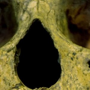 1 AM Screams: Coffin Dreams - Halloween Music