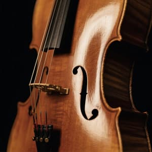 Calm Orchestra Music for Stress Relief - Miguel Johnson