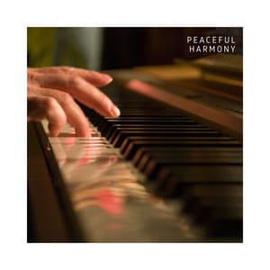 Peaceful Harmony: Chill Piano Music - Piano Music Harmony
