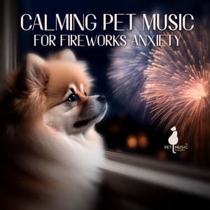 Calming Pet Music for Fireworks Anxiety - Pet Music Academy