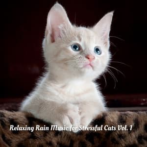 Relaxing Rain Music for Stressful Cats Vol. 1 - Nature Noises