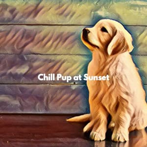 Chill Pup at Sunset - Coffee Jazz Playlist