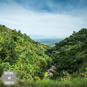 Tuned to the Cosmos - Dormiente