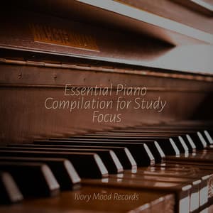 Essential Piano Compilation for Study Focus - Ivory Mood