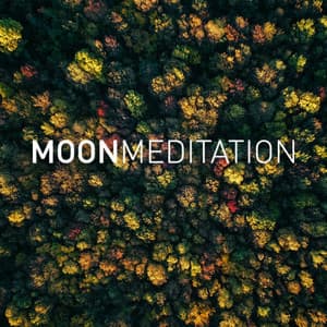 Deep Sleep Music - Moon Meditation