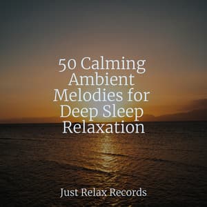 50 Calming Ambient Melodies for Deep Sleep Relaxation - Lullabies for Deep Meditation