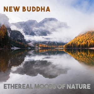 Ethereal Moods Of Nature - New Buddha