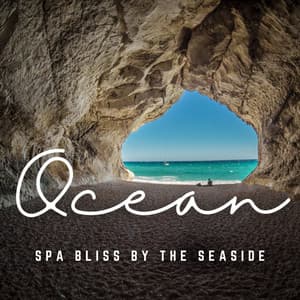 Ocean's Healing Haven: Spa and Massage Serenity - Waves of Atlantic