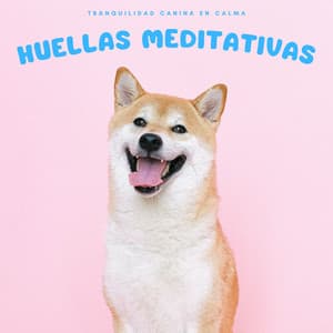 Tranquilidad Canina En Calma: Huellas Meditativas - Delmar Herrero