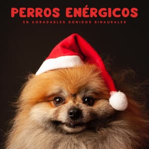 Perros enérgicos en agradables sonidos binaurales - Investigación de ritmos binaurales