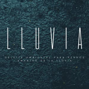 El Mejor Amigo De La Naturaleza Armónica: Deleite Ambiental Para Perros Amantes De La Lluvia - Sonido de lluvia ASMR