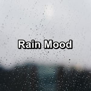 Rain Mood - Rain