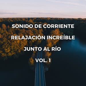 Sonido De Corriente: Relajación Increíble Junto Al Río Vol. 1 - Canal de la Naturaleza sin Interrupción