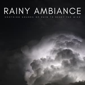 Rainy Ambiance: Soothing Sounds Of Rain To Reset The Mind - Weather and Nature Recordings