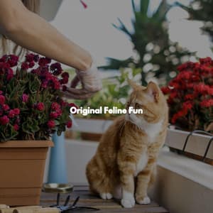 Original Feline Fun - Latin Guitar Trio