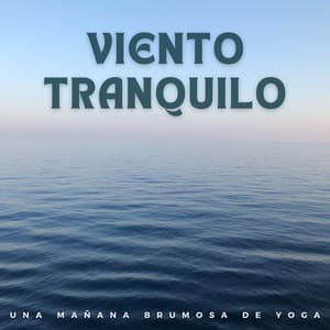 Viento Tranquilo: Una Mañana Brumosa De Yoga - Música para Desayuno Música De Fondo