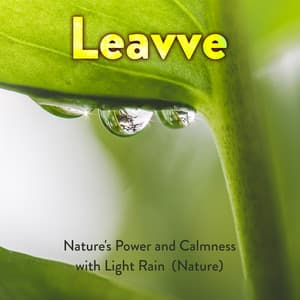 Nature's Power And Calmness With Light Rain - Leavve