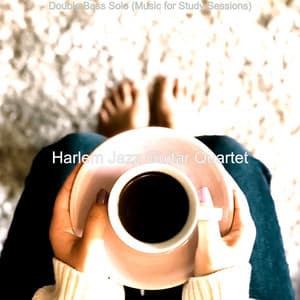 Double Bass Solo - Harlem Jazz Guitar Quartet