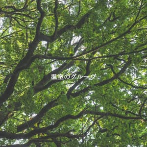 温室のグルーヴ - Instrumental Study Music