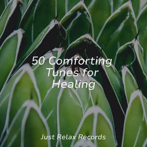 50 Comforting Tunes for Healing - Musica para Meditar