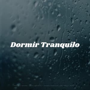 Rapsodia Natural: Lluvia Ambiental Y Pájaros Forestales Para Dormir Tranquilo - Lluvia Relajante para Dormir