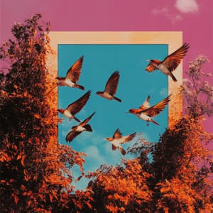 天空鳥類の避難所 - Paz Sounds