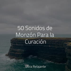 50 Sonidos de Monzón Para la Curación - Meditação Zen