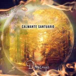 Calmante Santuario: Canciones Relajantes y Sonidos de la Naturaleza, Aves, Olas del Mar, Hermosa Voz para Meditación - Domenya