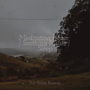 Meditation Music | Soothing Music | Sleep - Baby Songs & Lullabies For Sleep