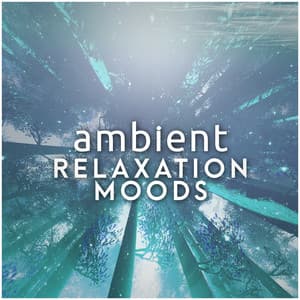Ambient: Relaxation Moods - Zen Moods