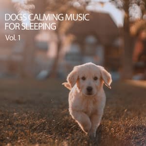 Dogs Calming Music For Sleeping Vol. 1 - Dog Music