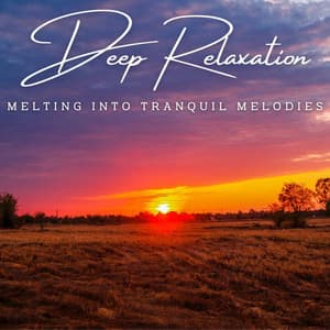 Euphoric Tranquility: Meditative Melodies for Deep Relaxation - So Fine