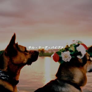 チル・ドッグ・バイブス - Música de Lujo para Cafés